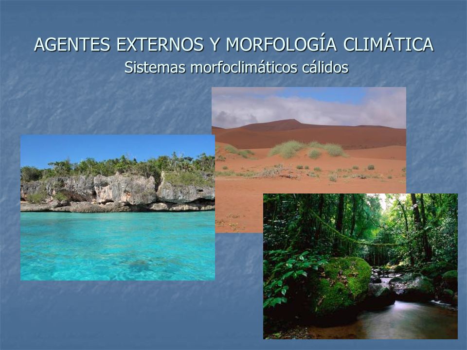 AGENTES EXTERNOS Y MORFOLOGÍA CLIMÁTICA Sistemas morfoclimáticos cálidos