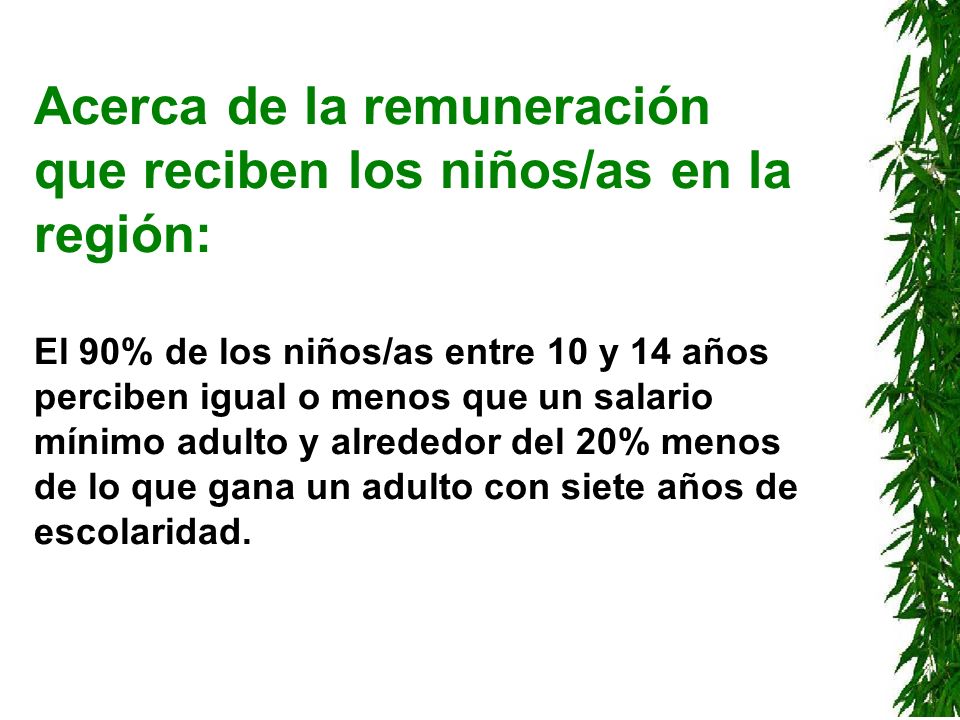 Acerca de la remuneración que reciben los niños/as en la región: El 90% de los niños/as entre 10 y 14 años perciben igual o menos que un salario mínimo adulto y alrededor del 20% menos de lo que gana un adulto con siete años de escolaridad.