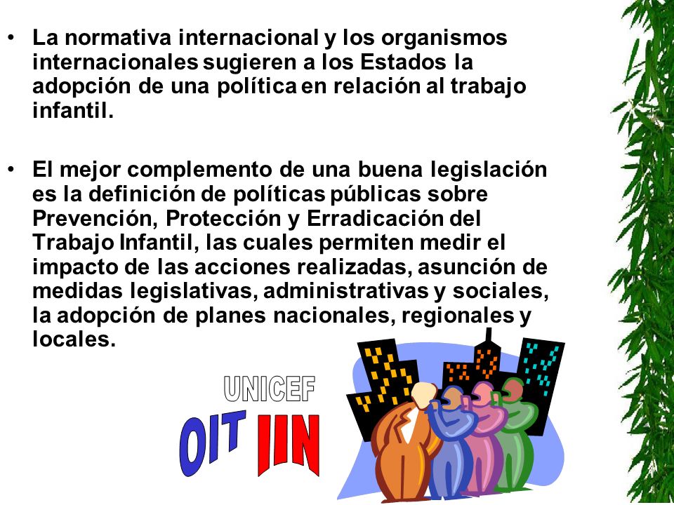 La normativa internacional y los organismos internacionales sugieren a los Estados la adopción de una política en relación al trabajo infantil.