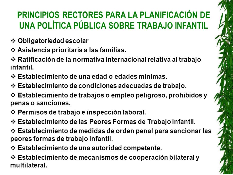 PRINCIPIOS RECTORES PARA LA PLANIFICACIÓN DE UNA POLÍTICA PÚBLICA SOBRE TRABAJO INFANTIL