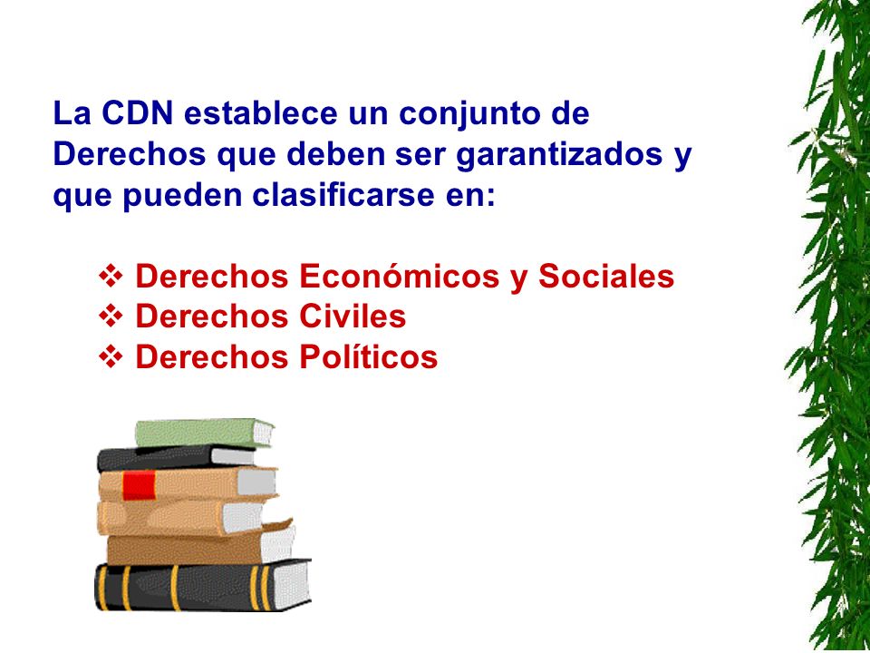 La CDN establece un conjunto de Derechos que deben ser garantizados y que pueden clasificarse en: