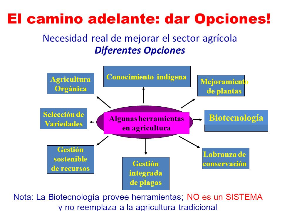 Necesidad real de mejorar el sector agrícola Diferentes Opciones