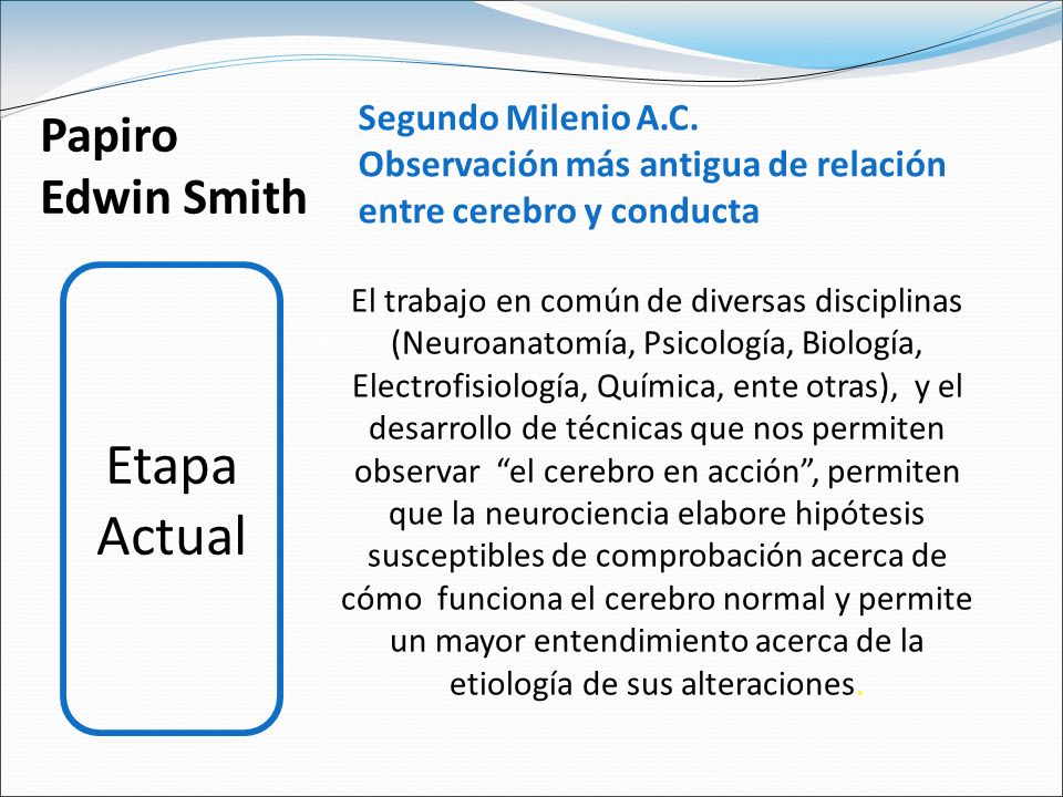 Etapa Actual Papiro Edwin Smith Segundo Milenio A.C.