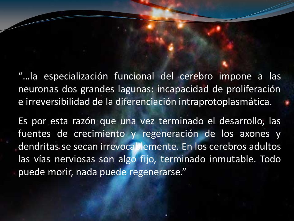 …la especialización funcional del cerebro impone a las neuronas dos grandes lagunas: incapacidad de proliferación e irreversibilidad de la diferenciación intraprotoplasmática.