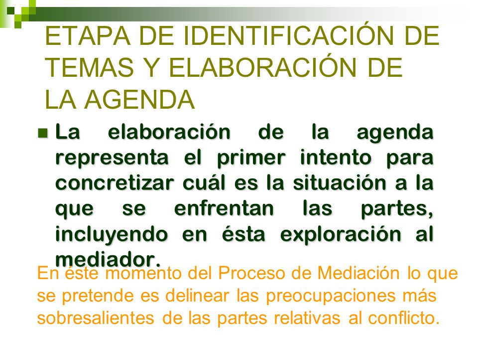ETAPA DE IDENTIFICACIÓN DE TEMAS Y ELABORACIÓN DE LA AGENDA
