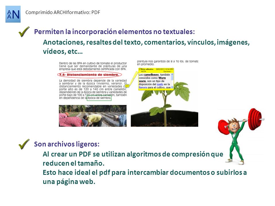 Permiten la incorporación elementos no textuales: