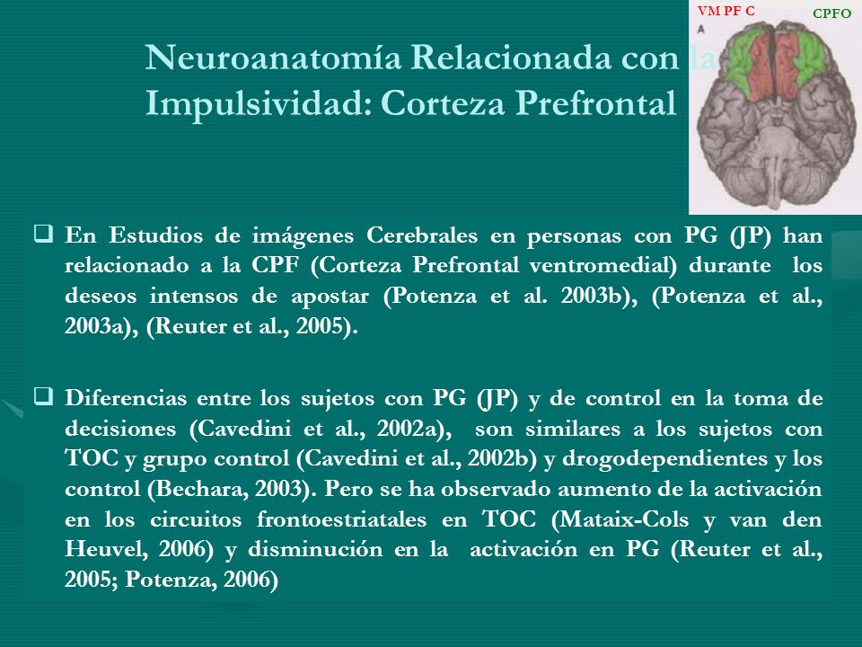 Neuroanatomía Relacionada con la Impulsividad: Corteza Prefrontal
