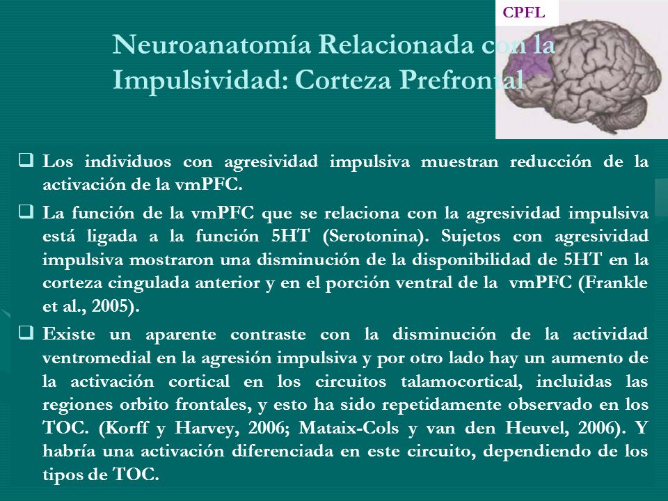 Neuroanatomía Relacionada con la Impulsividad: Corteza Prefrontal