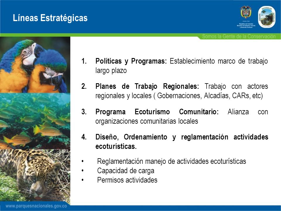 Líneas Estratégicas Políticas y Programas: Establecimiento marco de trabajo largo plazo.