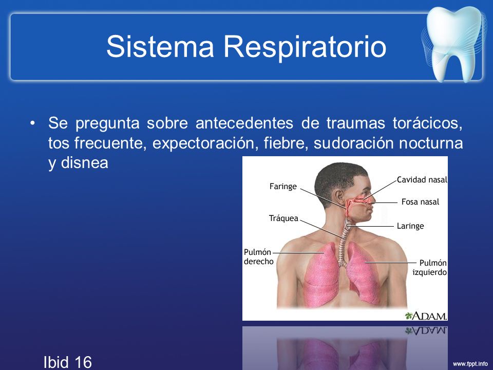 Sistema Respiratorio Se pregunta sobre antecedentes de traumas torácicos, tos frecuente, expectoración, fiebre, sudoración nocturna y disnea.