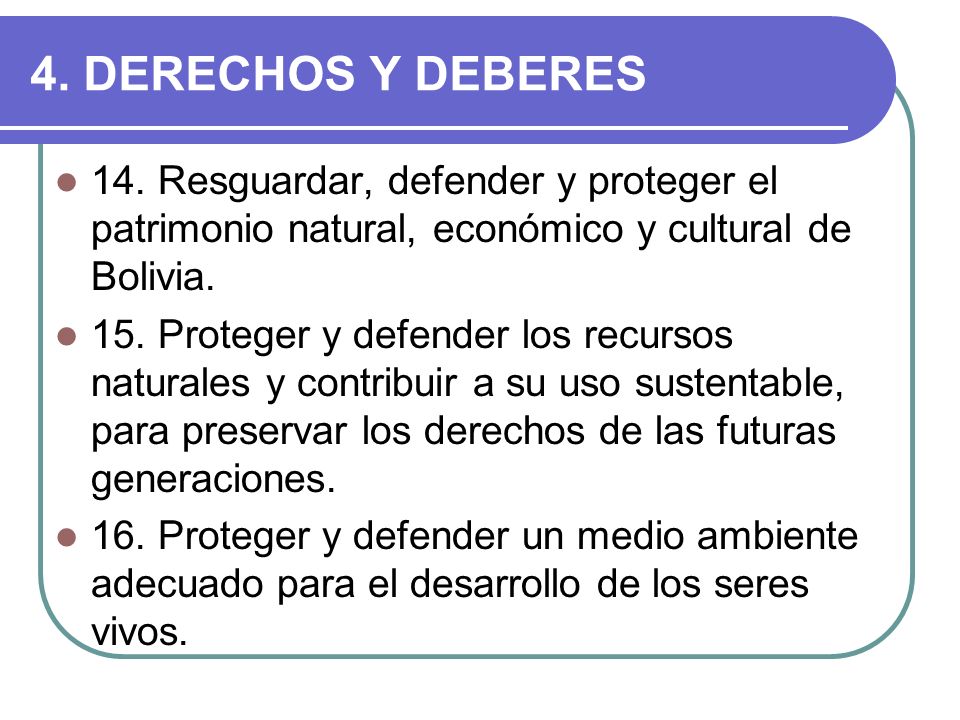 4. DERECHOS Y DEBERES 14. Resguardar, defender y proteger el patrimonio natural, económico y cultural de Bolivia.