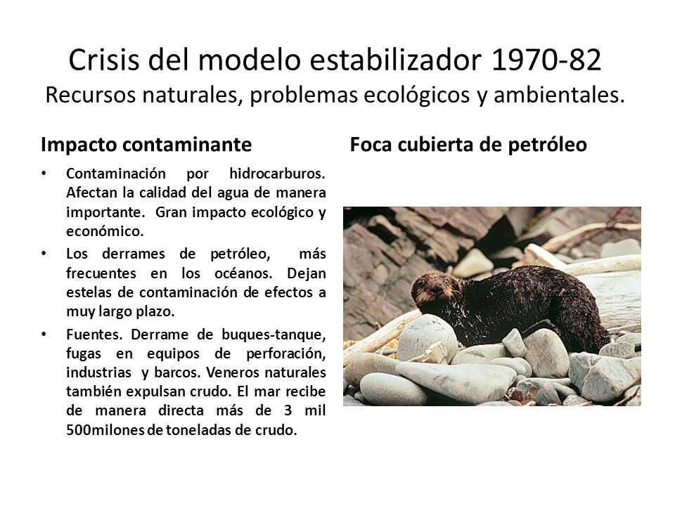 Crisis del modelo estabilizador Recursos naturales, problemas ecológicos y ambientales.