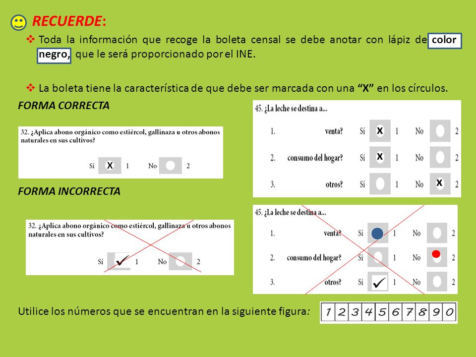 RECUERDE: Toda la información que recoge la boleta censal se debe anotar con lápiz de color negro, que le será proporcionado por el INE.