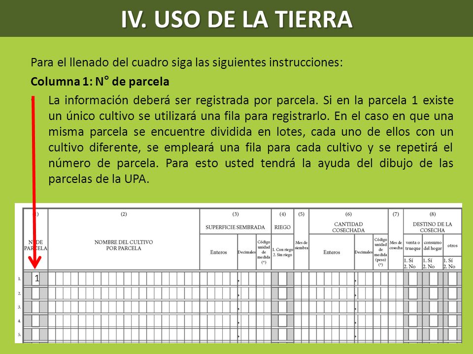 IV. USO DE LA TIERRA Para el llenado del cuadro siga las siguientes instrucciones: Columna 1: N° de parcela.