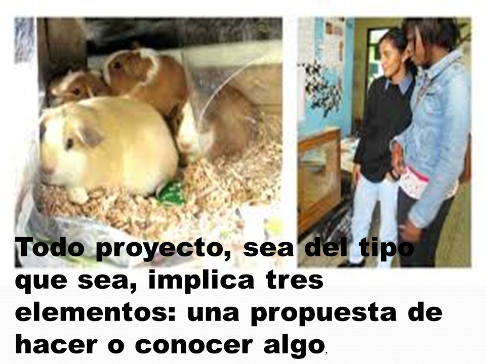 Todo proyecto, sea del tipo que sea, implica tres elementos: una propuesta de hacer o conocer algo,