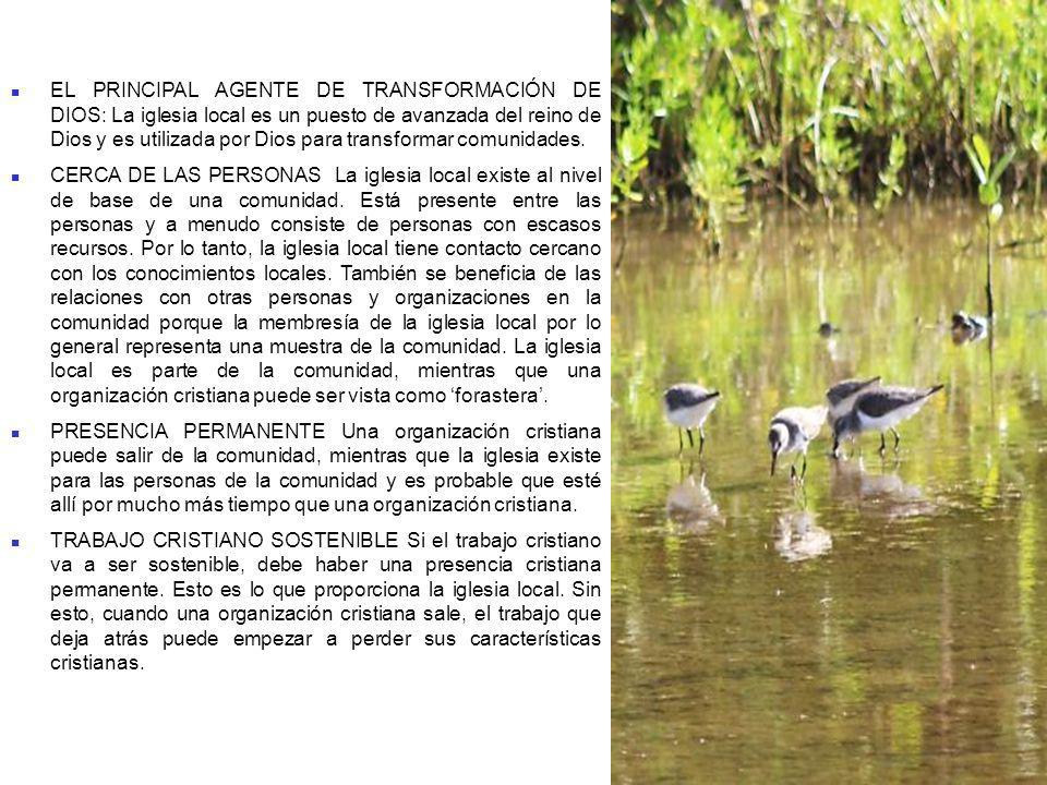 EL PRINCIPAL AGENTE DE TRANSFORMACIÓN DE DIOS: La iglesia local es un puesto de avanzada del reino de Dios y es utilizada por Dios para transformar comunidades.