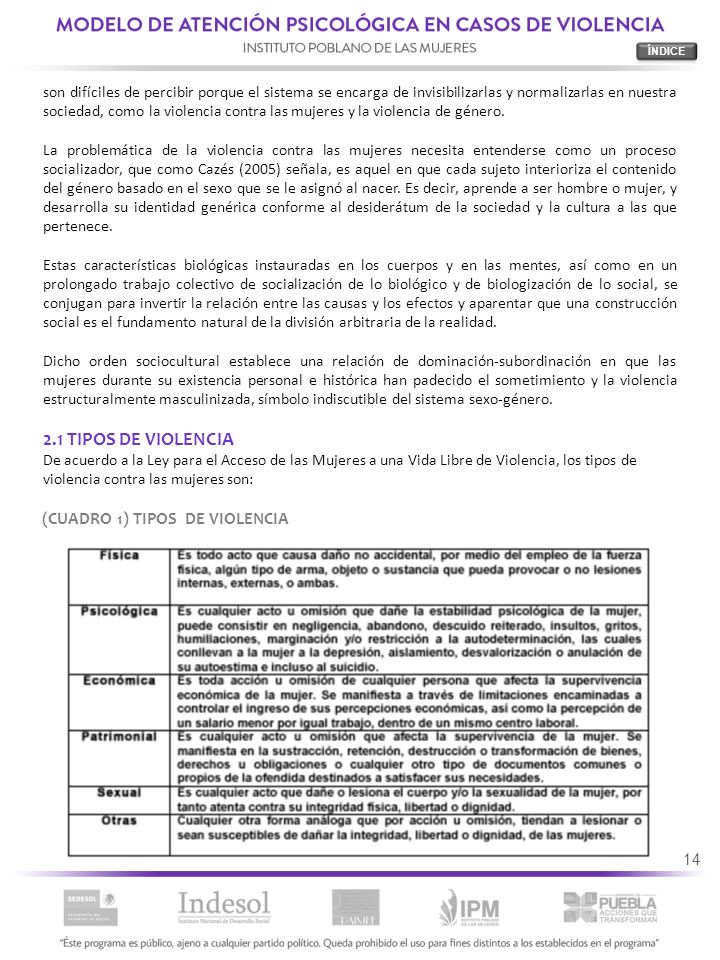 2.1 TIPOS DE VIOLENCIA (CUADRO 1) TIPOS DE VIOLENCIA