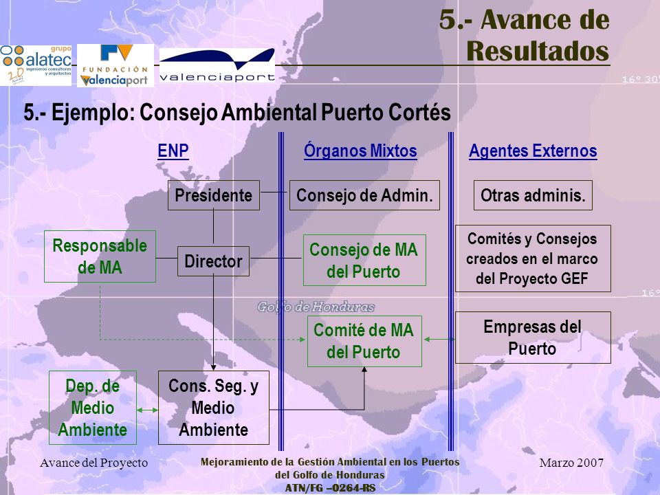 Comités y Consejos creados en el marco del Proyecto GEF