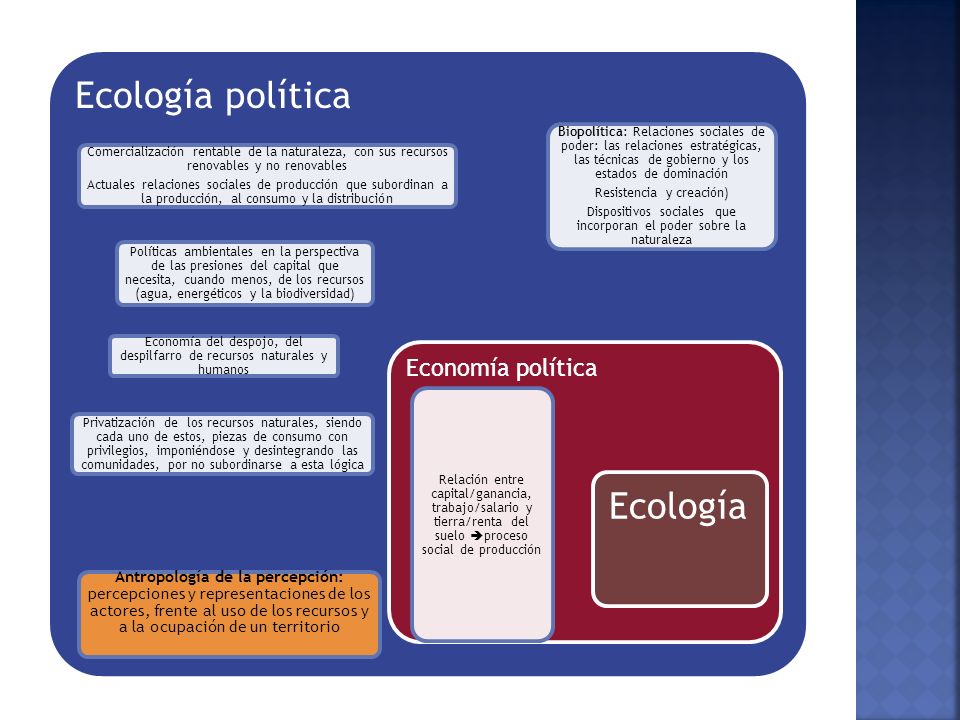 Ecología política Comercialización rentable de la naturaleza, con sus recursos renovables y no renovables.