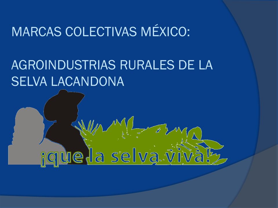 MARCAS COLECTIVAS MÉXICO: AGROINDUSTRIAS RURALES DE LA SELVA LACANDONA