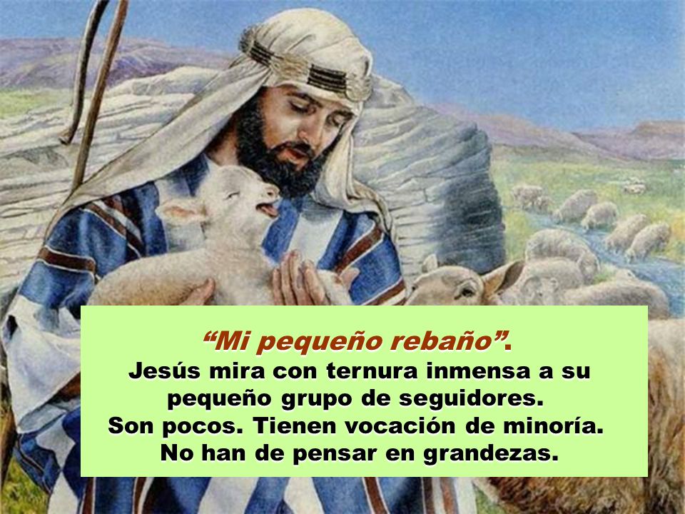 Mi pequeño rebaño . Jesús mira con ternura inmensa a su pequeño grupo de seguidores. Son pocos. Tienen vocación de minoría.