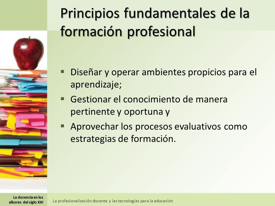 Principios fundamentales de la formación profesional