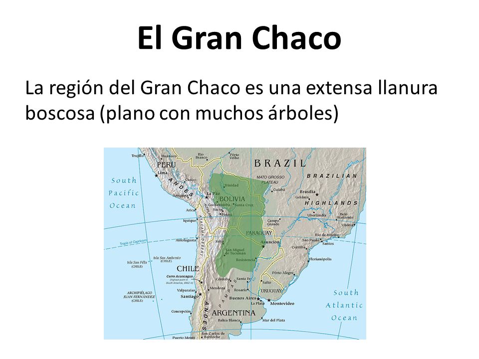 El Gran Chaco La región del Gran Chaco es una extensa llanura boscosa (plano con muchos árboles)