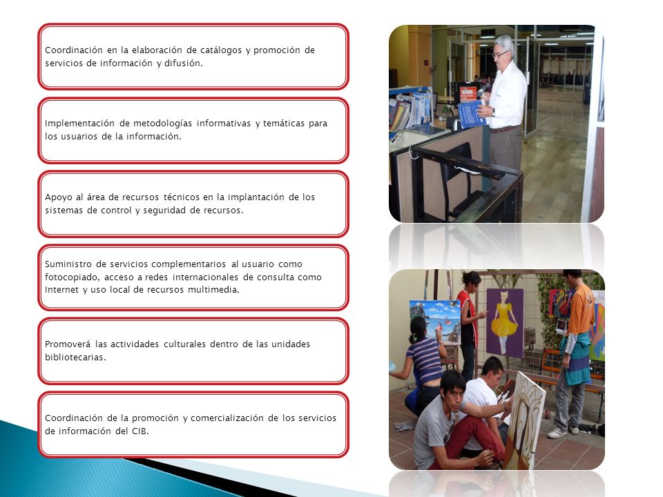 Coordinación en la elaboración de catálogos y promoción de servicios de información y difusión.