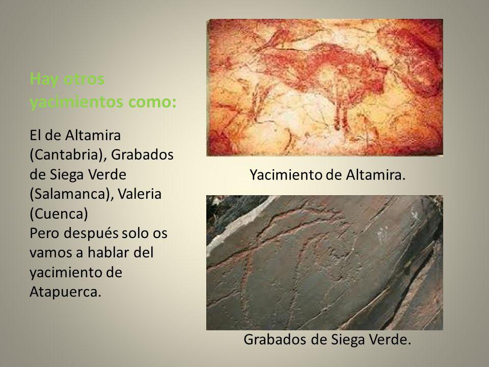 Hay otros yacimientos como: