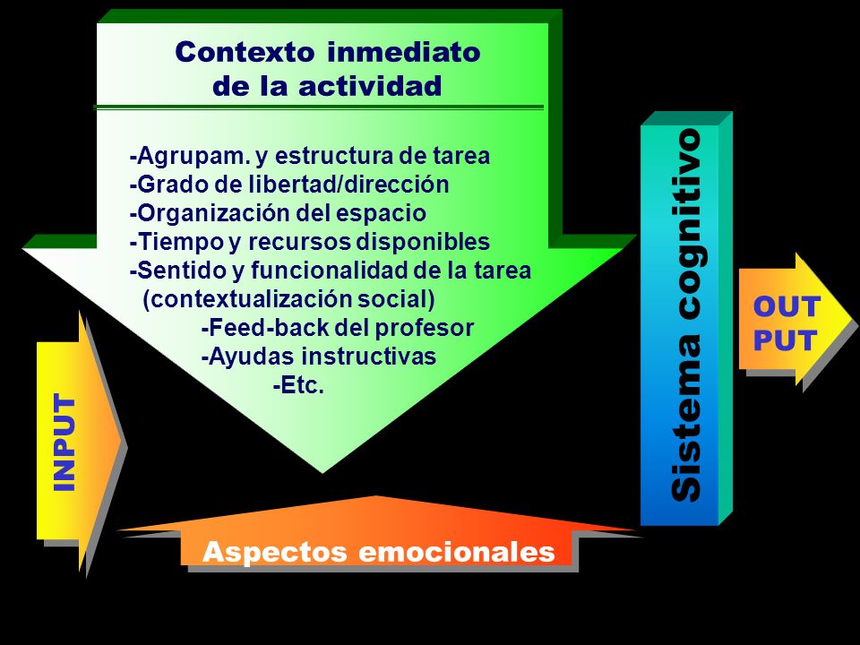 Sistema cognitivo Contexto inmediato de la actividad OUT PUT INPUT
