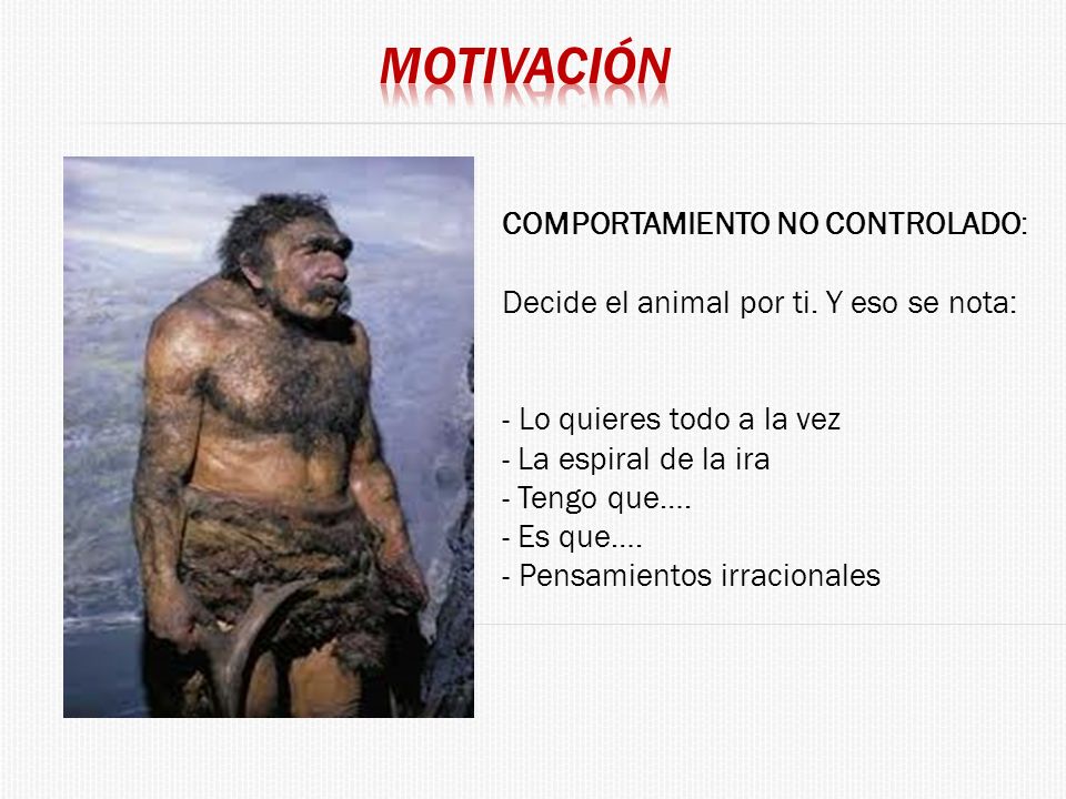 COMPORTAMIENTO NO CONTROLADO: Decide el animal por ti. Y eso se nota: