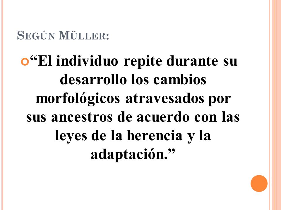 Según Müller: