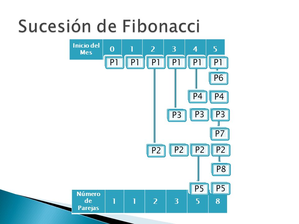 Sucesión de Fibonacci P1 P2 P3 P4 P6 P7 P5 P
