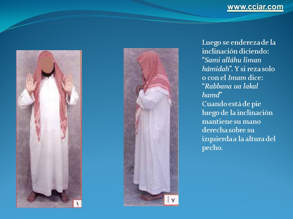 Luego se endereza de la inclinación diciendo: Sami alláhu liman hámidah . Y si reza solo o con el Imam dice: Rabbana ua lakal hamd