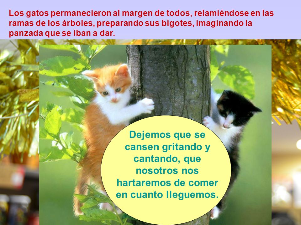 Los gatos permanecieron al margen de todos, relamiéndose en las ramas de los árboles, preparando sus bigotes, imaginando la panzada que se iban a dar.