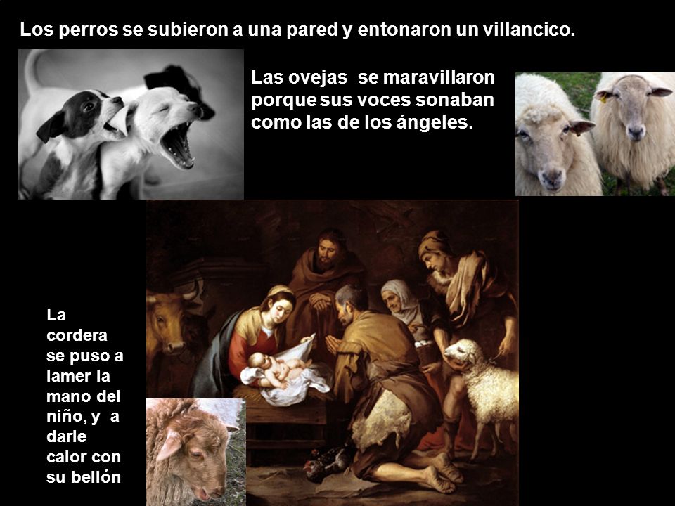 Los perros se subieron a una pared y entonaron un villancico.