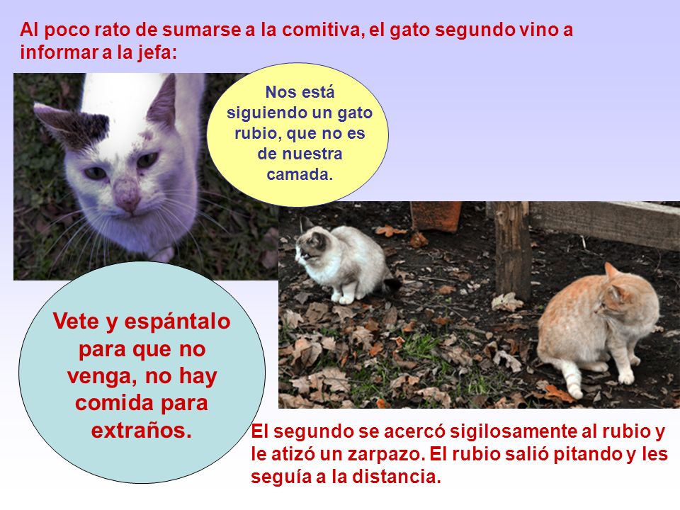 Vete y espántalo para que no venga, no hay comida para extraños.