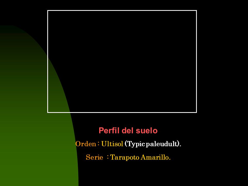 Orden : Ultisol (Typic paleudult). Serie : Tarapoto Amarillo.
