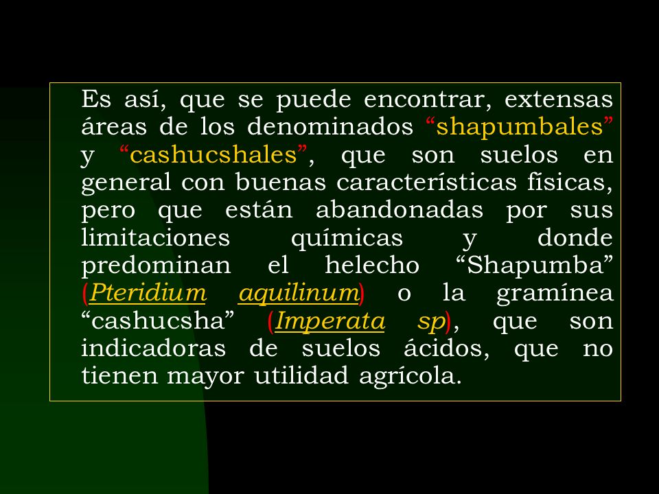 Es así, que se puede encontrar, extensas áreas de los denominados shapumbales y cashucshales , que son suelos en general con buenas características físicas, pero que están abandonadas por sus limitaciones químicas y donde predominan el helecho Shapumba (Pteridium aquilinum) o la gramínea cashucsha (Imperata sp), que son indicadoras de suelos ácidos, que no tienen mayor utilidad agrícola.