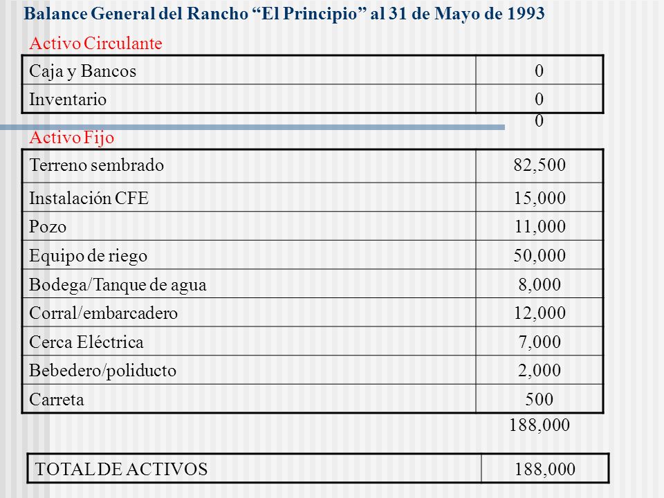 Balance General del Rancho El Principio al 31 de Mayo de 1993
