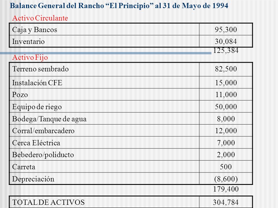 Balance General del Rancho El Principio al 31 de Mayo de 1994