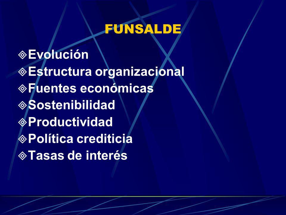 FUNSALDE Evolución. Estructura organizacional. Fuentes económicas. Sostenibilidad. Productividad.