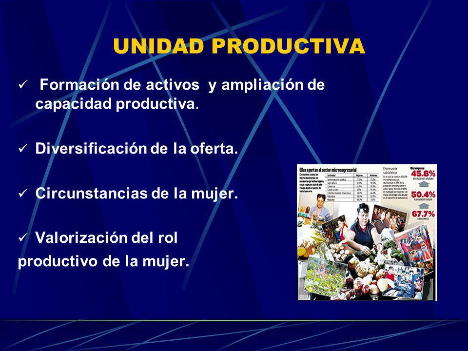 UNIDAD PRODUCTIVA Formación de activos y ampliación de capacidad productiva. Diversificación de la oferta.
