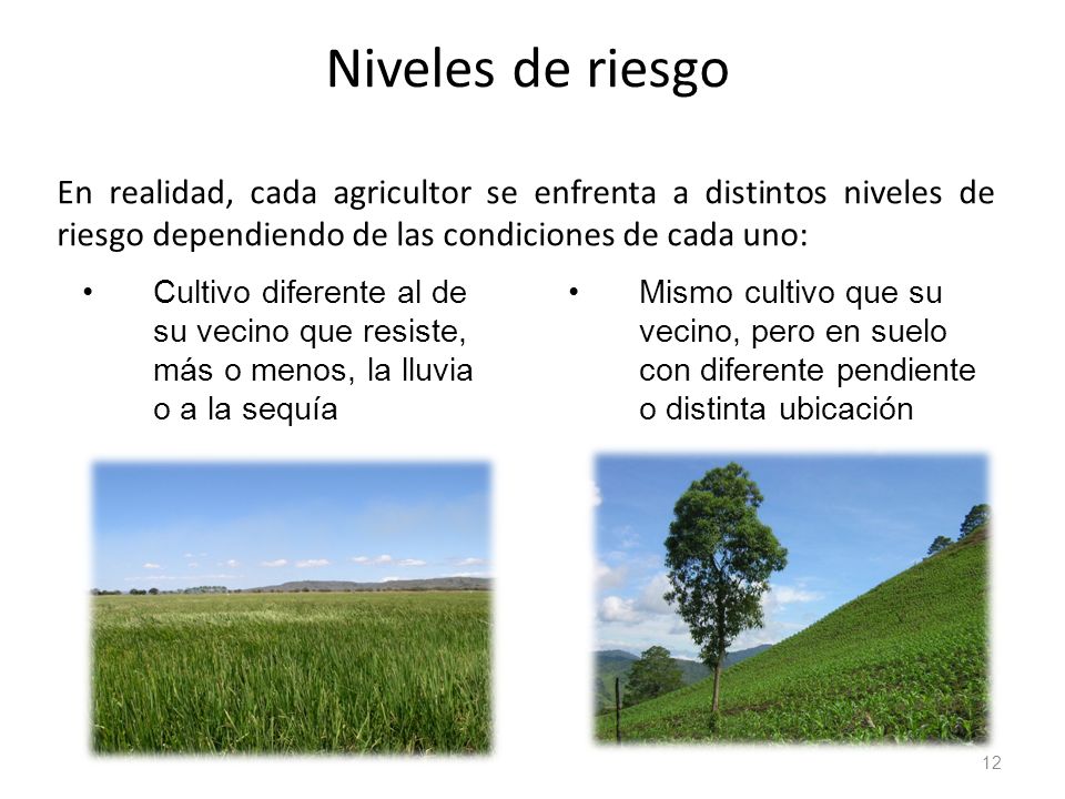 Niveles de riesgo En realidad, cada agricultor se enfrenta a distintos niveles de riesgo dependiendo de las condiciones de cada uno: