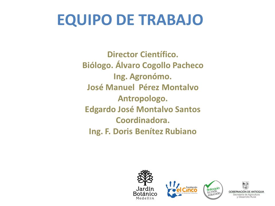 EQUIPO DE TRABAJO Director Científico. Biólogo. Álvaro Cogollo Pacheco