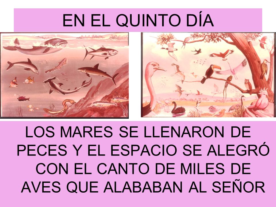 EN EL QUINTO DÍA LOS MARES SE LLENARON DE PECES Y EL ESPACIO SE ALEGRÓ CON EL CANTO DE MILES DE AVES QUE ALABABAN AL SEÑOR.