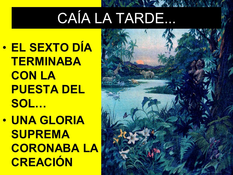 CAÍA LA TARDE... EL SEXTO DÍA TERMINABA CON LA PUESTA DEL SOL…