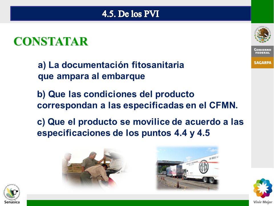 4.5. De los PVI CONSTATAR. a) La documentación fitosanitaria que ampara al embarque.
