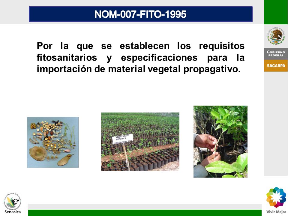 NOM-007-FITO-1995 Por la que se establecen los requisitos fitosanitarios y especificaciones para la importación de material vegetal propagativo.