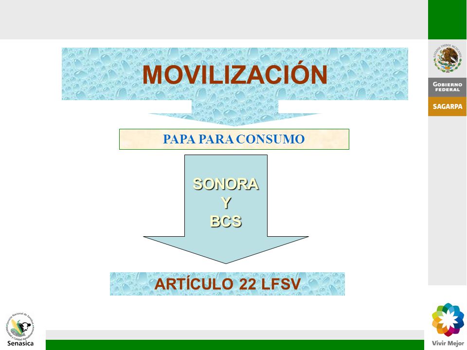 MOVILIZACIÓN PAPA PARA CONSUMO SONORA Y BCS ARTÍCULO 22 LFSV 75
